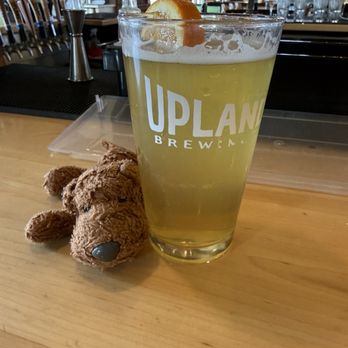 Upland Brewing - Columbus - Cream ale - Brewpubs Near Me - Columbus, Indiana Upland Brewing - Columbus - Cream ale - Brewpubs Near Me - Columbus, Indiana