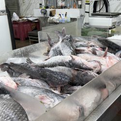 T H Seafood