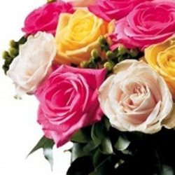 Heroman's Florist - Two dozen roses any color $129.99
