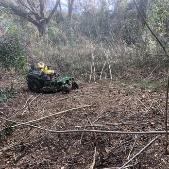 West Georgia Landscape - Cutting in progress. You can see the ground again! - Landscaping Near Me
