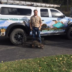AAAC Wildlife Removal Of The Central Mountains