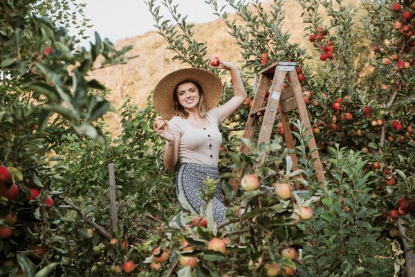 Stone Soup Farm & Heritage Orchard by null