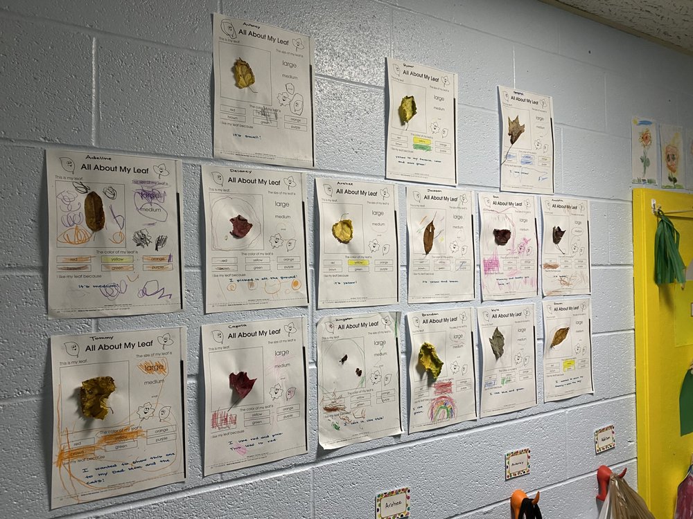 STEMsteps - childcare center in Gibsonia, PA