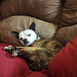 This is Brantely (white head) and Baby! This is Brantely (white head) and Baby!