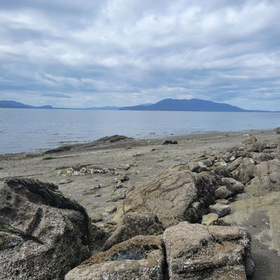 Larrabee State Park by null