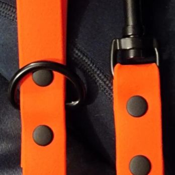 J&J Release The Leash - Orange upgrade Black Rivets - Pet Training Near Me - Augusta, Maine J&J Release The Leash - Orange upgrade Black Rivets - Pet Training Near Me - Augusta, Maine