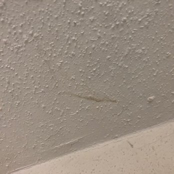 Trustworthy Cleaning Services - dust bunnies everywhere - Home Cleaning Near Me - Austin, Texas