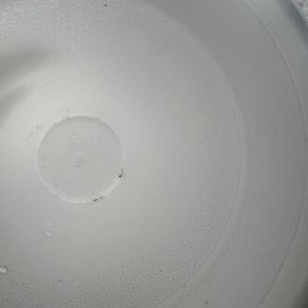 Big Tiny's BBQ - Sediment left over from ice water - Barbeque Near Me - Mooresville, North Carolina Big Tiny's BBQ - Sediment left over from ice water - Barbeque Near Me - Mooresville, North Carolina