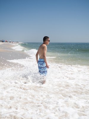 Island Beach State Park by null