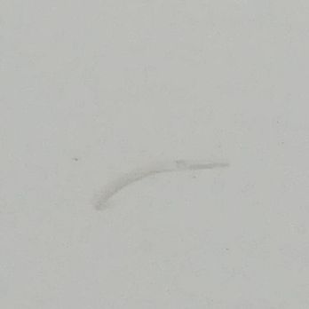 Dent King Mobile Service - The SCRATCHES & PAINT on our van. also they didn't Match PAINT COLOR CORRECTLY!  don't trust your car/luxury car to them. - Mobile Dent Repair Near Me