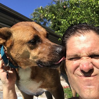 Big Dog Ranch Rescue - Luke love - Animal Shelters Near Me - Loxahatchee, Florida Big Dog Ranch Rescue - Luke love - Animal Shelters Near Me - Loxahatchee, Florida
