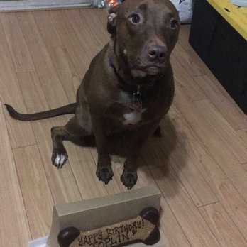 Three Dog Bakery - Pet Stores Near Me - Las Vegas, Nevada Three Dog Bakery - Pet Stores Near Me - Las Vegas, Nevada