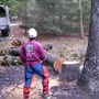 Photo of Jason Pilla Tree Specialist