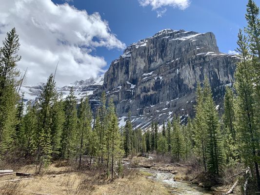 Kootenay National Park by null