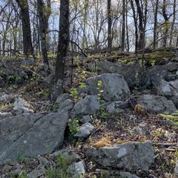 Sparta Glen
