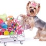 Photo of Lazy Creek Pet Food Center