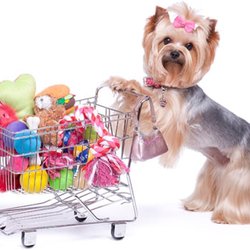 Lazy Creek Pet Food Center - #Shopsmall