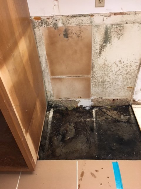 Slide of Triskell Restorations