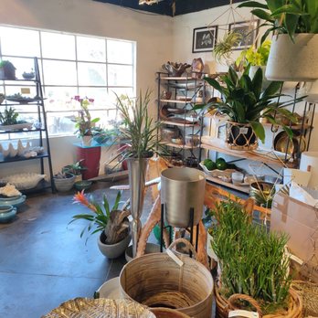 Calvert's Plant Interiors - Lots of cute and pretty items - Nurseries & Gardening Near Me - Oklahoma City, Oklahoma Calvert's Plant Interiors - Lots of cute and pretty items - Nurseries & Gardening Near Me - Oklahoma City, Oklahoma