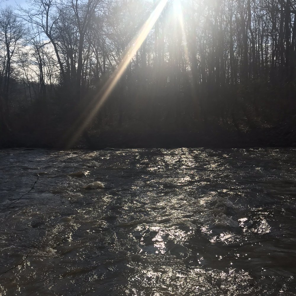 Wincopin Trail - River picture - Hiking Near Me - Jessup, Maryland Wincopin Trail - River picture - Hiking Near Me - Jessup, Maryland