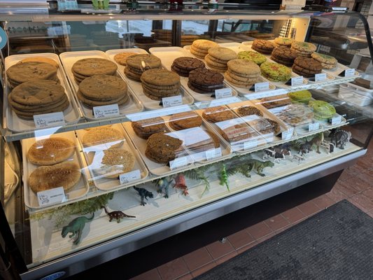 T-Rex Cookie Company by null