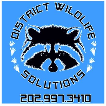 District Wildlife Solutions - Fair pricing
Honest workmanship - Wildlife Control Near Me - Washington, DC, District of Columbia District Wildlife Solutions - Fair pricing
Honest workmanship - Wildlife Control Near Me - Washington, DC, District of Columbia
