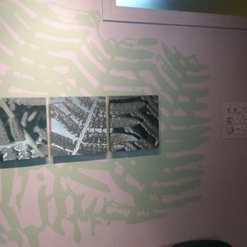 Centro Dentale Ticino - Otorinolaringoiatra - General Dentistry Near Me - Oleggio, NO
