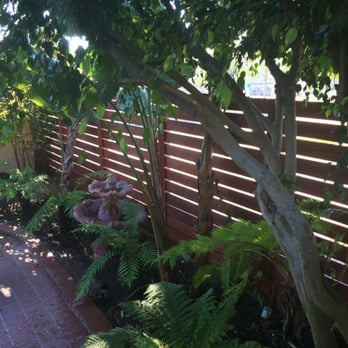 Wood Fence & Gate - Fences & Gates Near Me - El Segundo, California