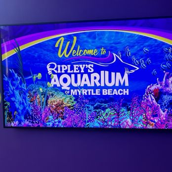 Ripley's Mirror Maze - Aquariums Near Me - Myrtle Beach, South Carolina Ripley's Mirror Maze - Aquariums Near Me - Myrtle Beach, South Carolina