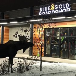 Blue & Gold Board Shop