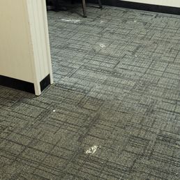 Filthy carpets Filthy carpets