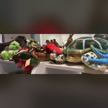 EddieWorld - Can you find where my turtle is hiding?:XD - Service Stations Near Me - Yermo, California EddieWorld - Can you find where my turtle is hiding?:XD - Service Stations Near Me - Yermo, California