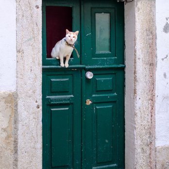 Chill out Free walking Tours Lisbon - sweet - Walking Tours Near Me - Lisboa, 20 Chill out Free walking Tours Lisbon - sweet - Walking Tours Near Me - Lisboa, 20