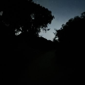 Manresa Uplands Campground - the stars in the sky that night - Campgrounds Near Me - Watsonville, California