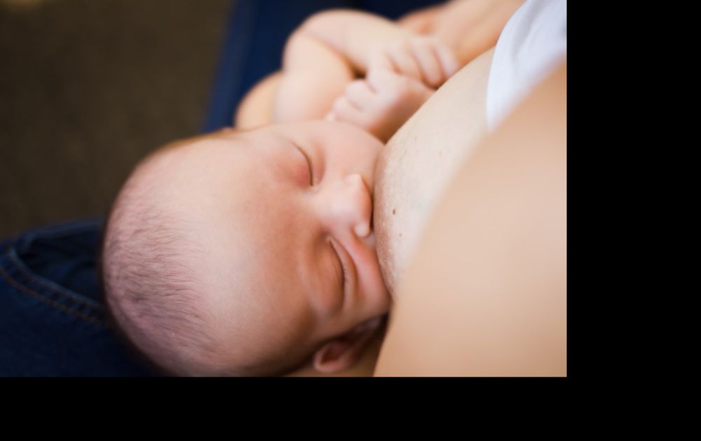 Family Tree OT and Lactation - child therapist in Calabasas, CA