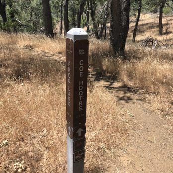 Henry W Coe State Park - Choices - Parks Near Me - Morgan Hill, California Henry W Coe State Park - Choices - Parks Near Me - Morgan Hill, California