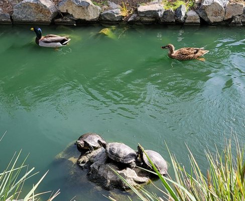 12405 E Waterfront Dr by null