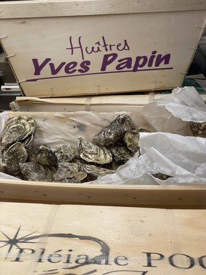 Huitrerie Régis by null