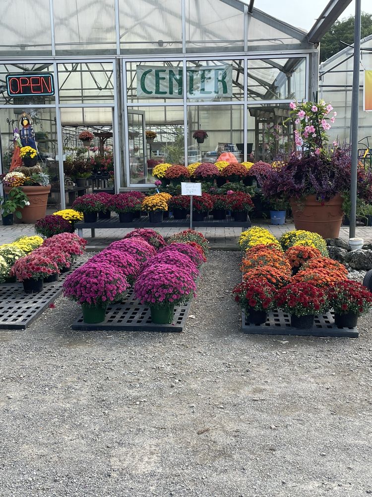 ELYA’S VILLAGE GARDENS & GREENHOUSES Updated October 2024 24200 26