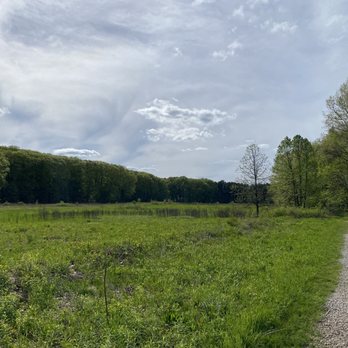 Nichols Arboretum - Parks Near Me - Ann Arbor, Michigan Nichols Arboretum - Parks Near Me - Ann Arbor, Michigan