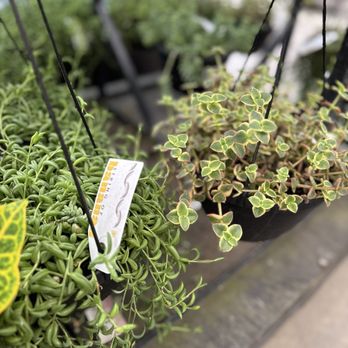 The Home Depot - Hanging String Baskets 6.29.26 - Hardware Stores Near Me - Brea, California The Home Depot - Hanging String Baskets 6.29.26 - Hardware Stores Near Me - Brea, California