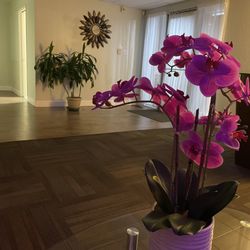 QQ massage - Relaxing Atmosphere