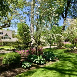 Lawn Envy
