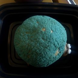 Turtle Cream Puff