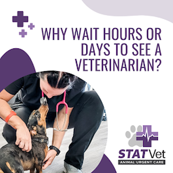 STATVet Animal Urgent Care - Emergency Pet Hospital Near Me - Tulsa, Oklahoma STATVet Animal Urgent Care - Emergency Pet Hospital Near Me - Tulsa, Oklahoma