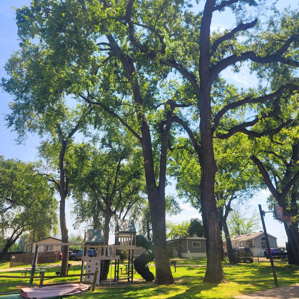 Riverbend RV Park - Kids playground, picnic tables, basketball hoop-shaded! - RV Parks Near Me - Sanger, California Riverbend RV Park - Kids playground, picnic tables, basketball hoop-shaded! - RV Parks Near Me - Sanger, California
