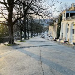 Promenade de la Treille