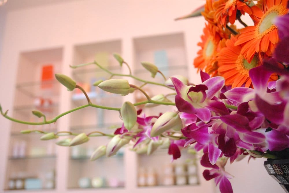 Alyson Powell Hair Logo