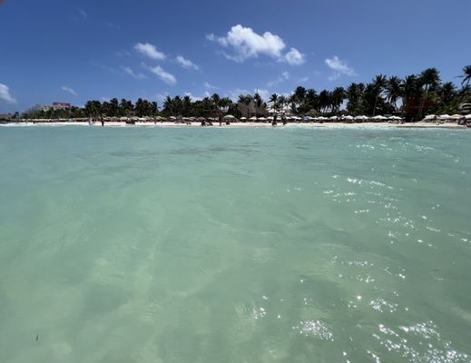 Playa Norte by null