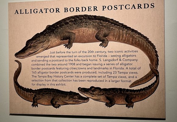 Tampa Bay History Center by null